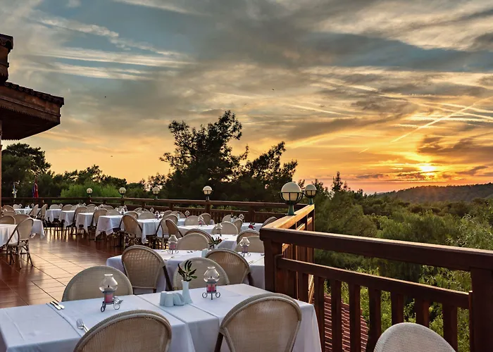 Montana Pine Ośrodek wypoczynkowy