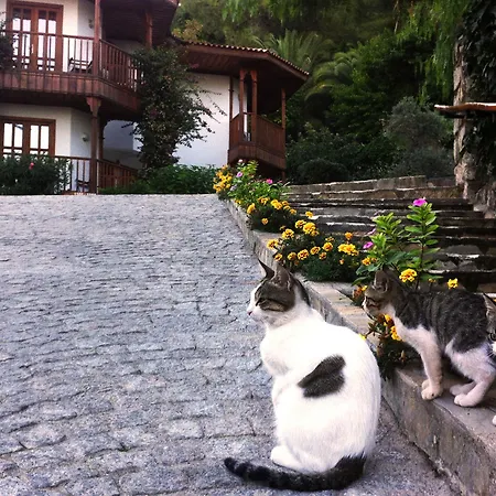 Semesteranläggning (resort) Montana Pine Öludeniz