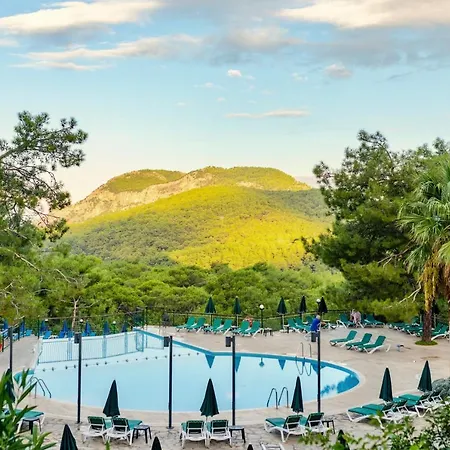 Complex Montana Pine 4*