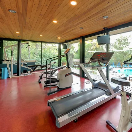 Montana Pine 4* أولدينيس