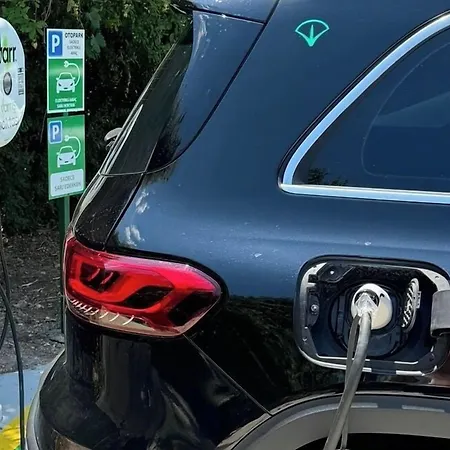 Montana Pine Ölüdeniz