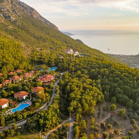Montana Pine 4* أولدينيس