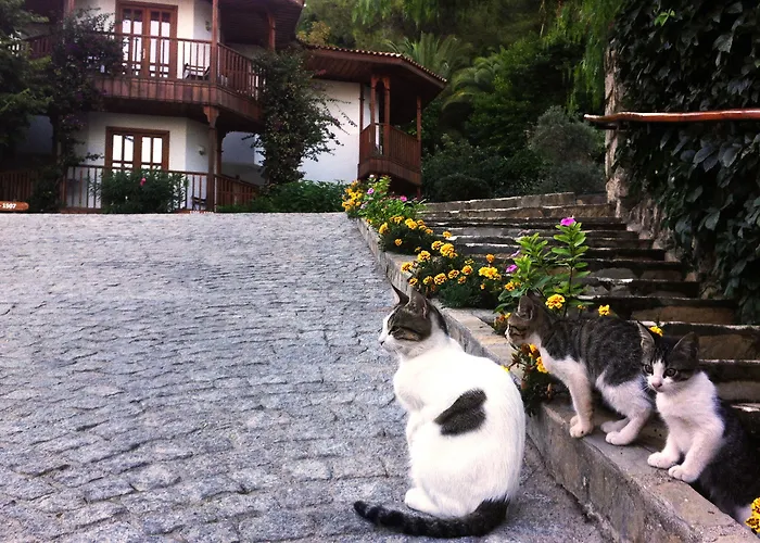 Курортный комплекс Montana Pine Олудениз