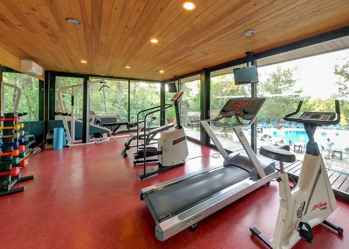 Montana Pine 4* Ölüdeniz