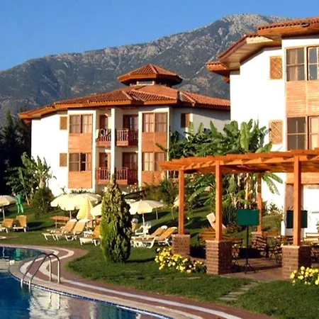 Montana Pine 4*